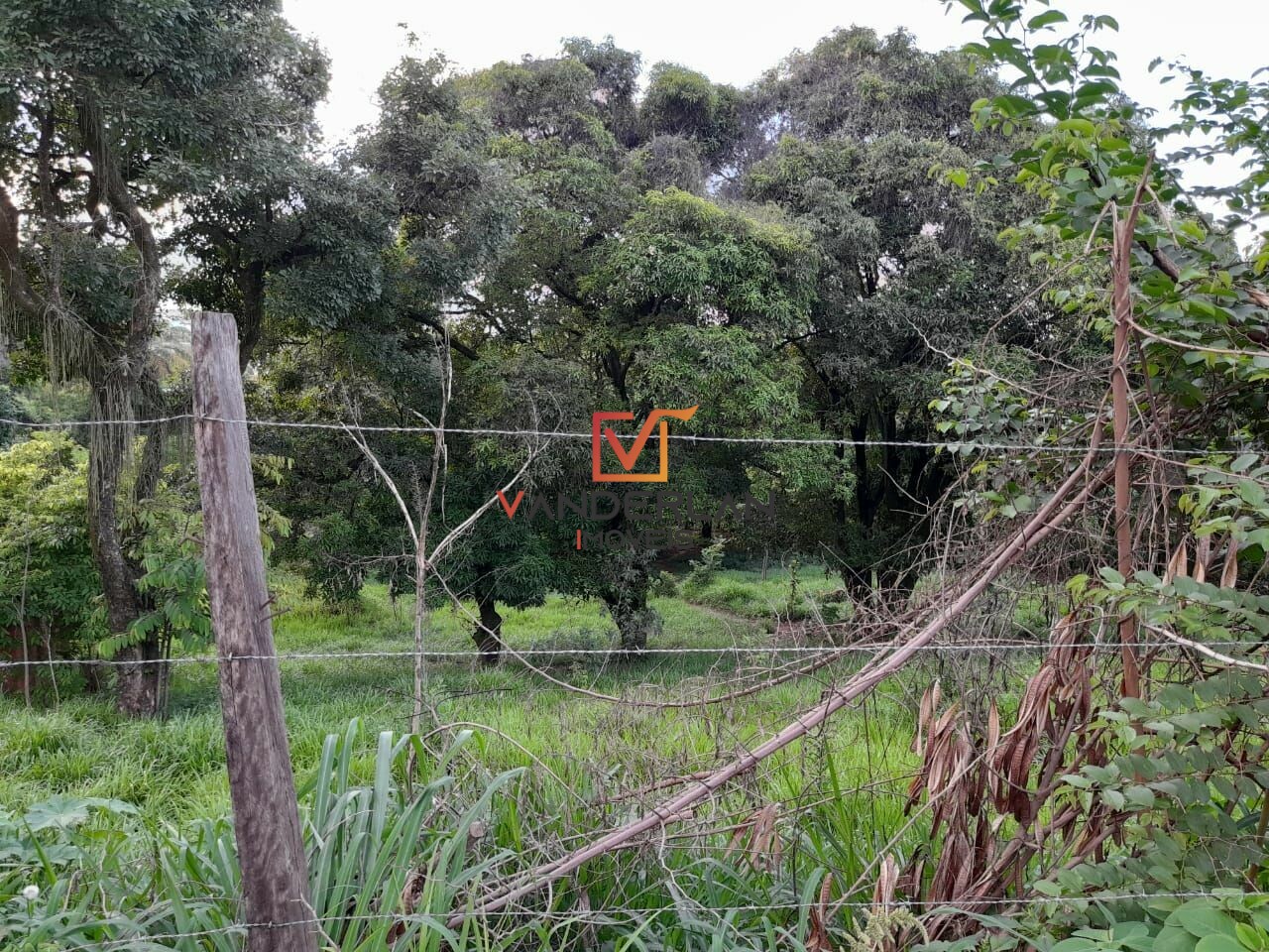 TERRENO EM LAGOA DE SANTO ANTONIO - PEDRO LEOPOLDO/MG - Vanderlan Imóveis