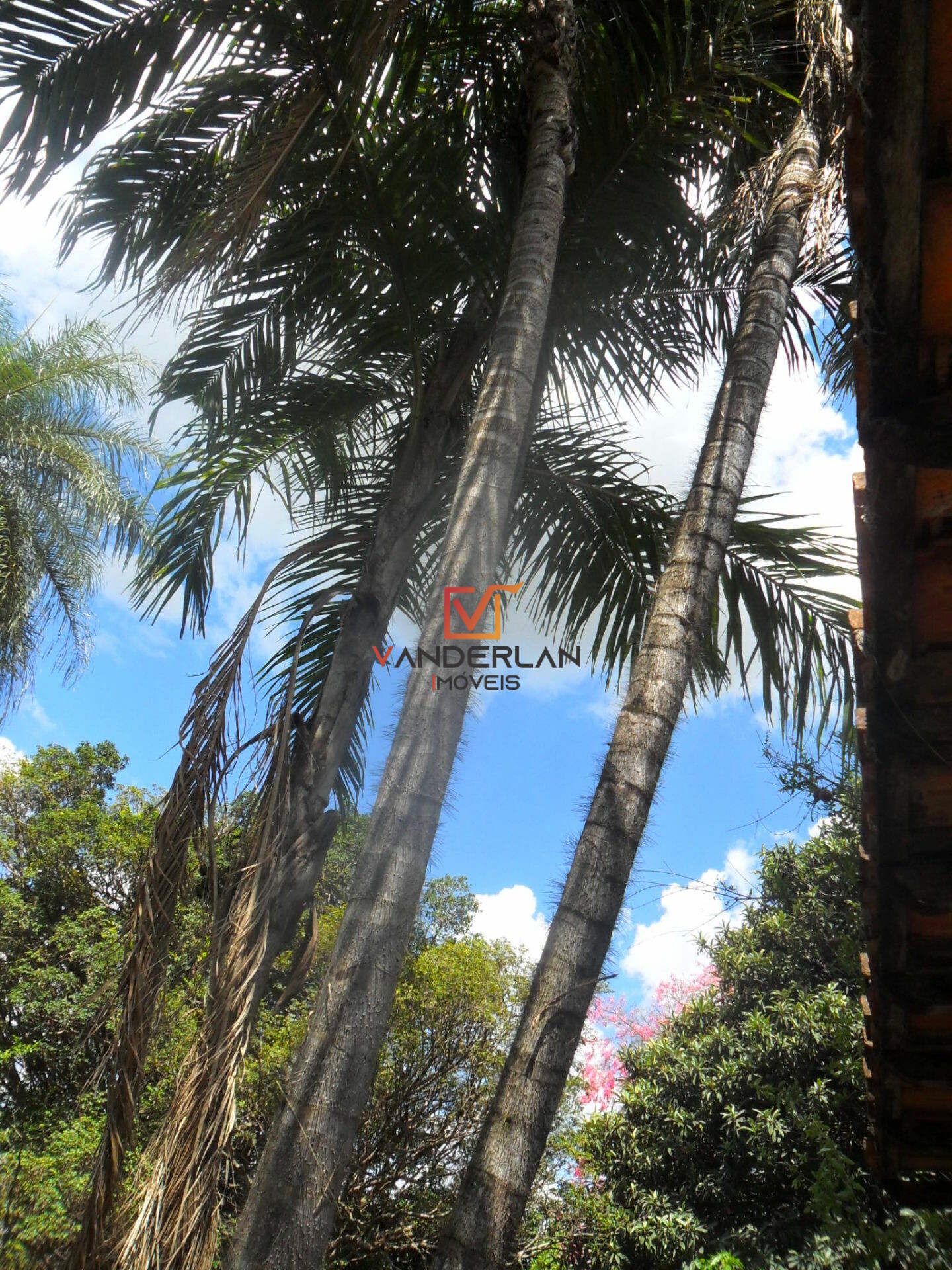 Sítio à venda com 6 quartos - Lagoa de Santo Antonio,Pedro Leopoldo