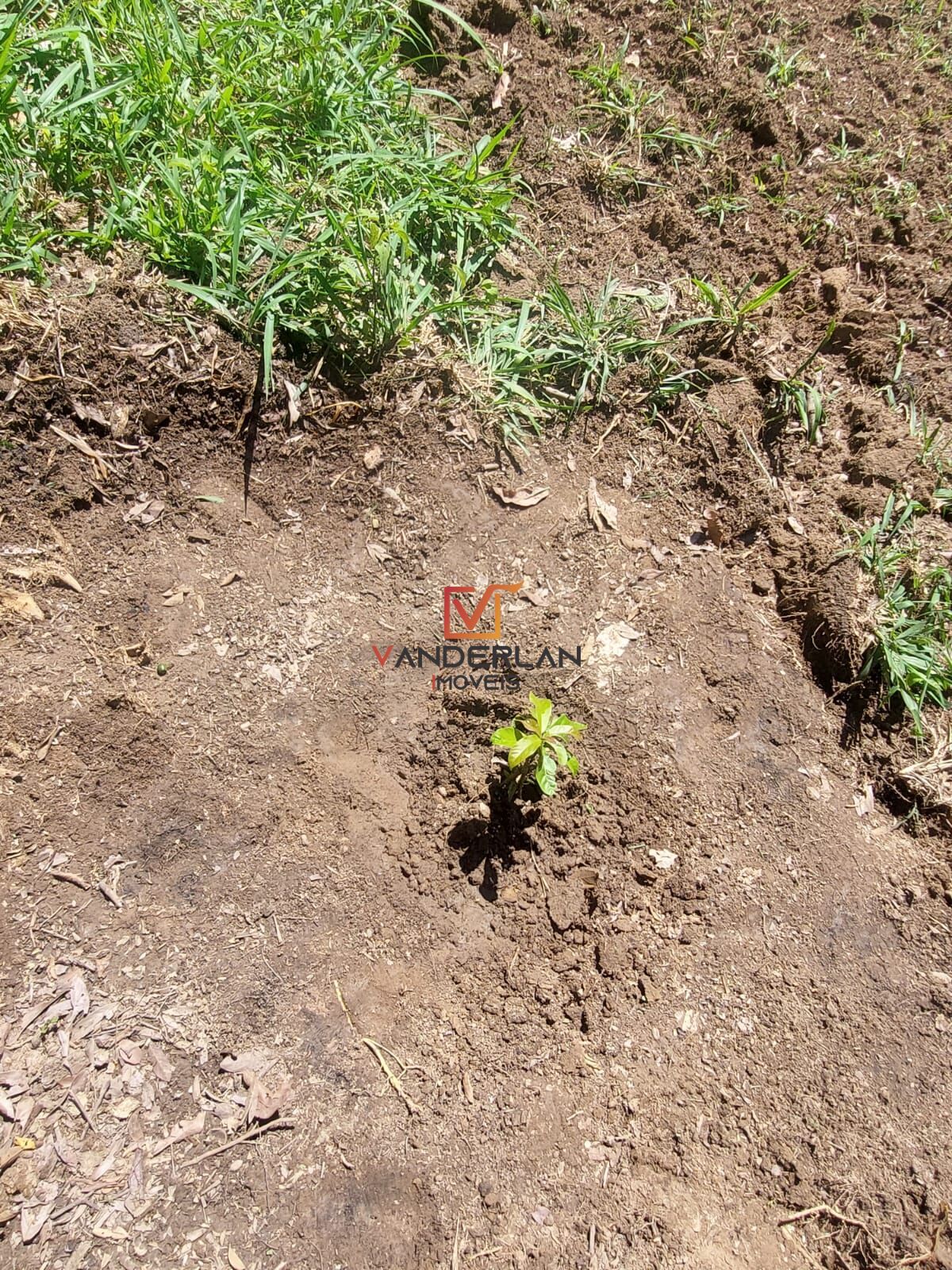 Terreno à venda - Vargem Alegre,Pedro Leopoldo