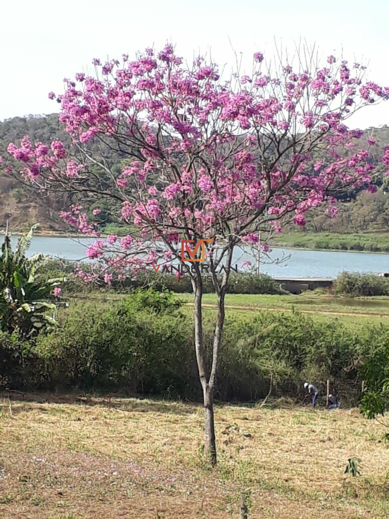 Sítio à venda com 7 quartos - Lagoa de Santo Antonio,Pedro Leopoldo