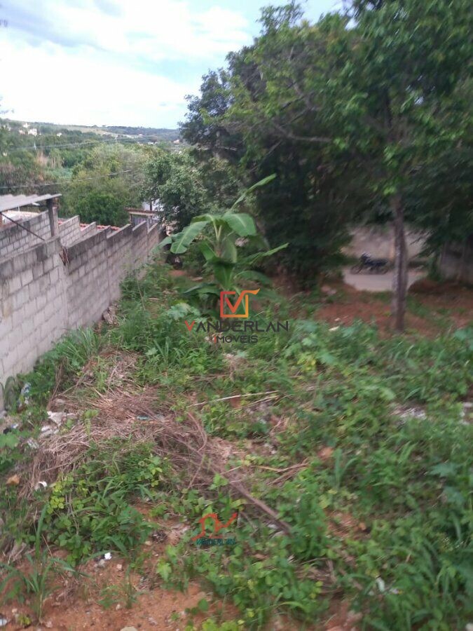 Terreno à venda - Centro,Confins