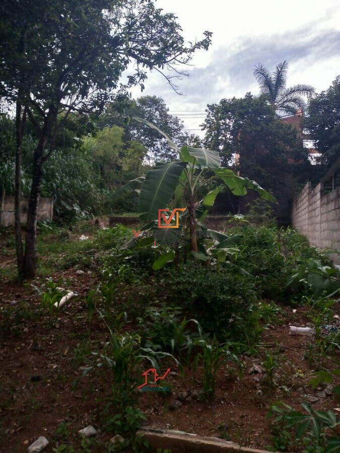 Terreno à venda - Centro,Confins