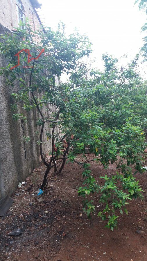 Terreno à venda - Felipe Claudio de Sales,Pedro Leopoldo